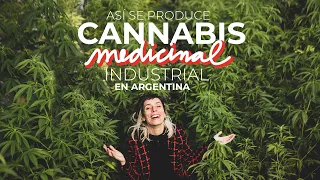 VISITO FÁBRICA DE CANNABIS MEDICINAL EN ARGENTINA | datos, ciencia y mucho porr0