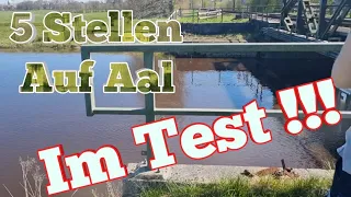 5 Stellen auf Aal getestet | #AaleTagUndNacht #angeln #aal #eel  #fishing