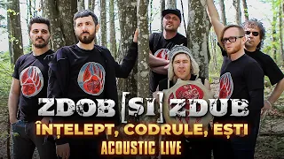 Zdob și Zdub — Înțelept, codrule, ești (acoustic live)