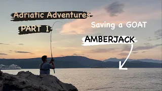 TFC: The Adriatic Adventures Part 1 - The Amberjack -