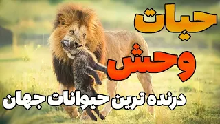 دنیای شگفت انگیز حیات وحش - دنیای حیوانات - درنده ترین حیوانات وحشی جهان - مستند فارسی