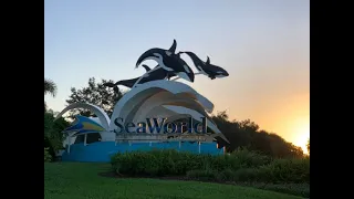 Icebreaker Front Seat POV | Horizon Lock | SeaWorld Orlando |