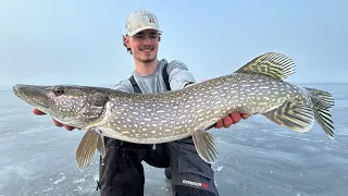 The Hunt For Northern Gators - Ice Fishing Pike