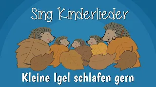 Kleine Igel schlafen gern - Kinderlieder zum Mitsingen | Sing Kinderlieder