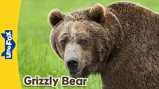 Meet the Animals | Grizzly Bear | Wild Animals | Stories for Kindergarten