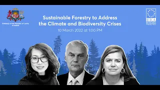 Sustainable Forestry: Combatting the Climate and Biodiversity Crises