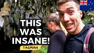 NOBODY KNOWS ABOUT THIS?! Trip To Tasman, Rawhiti Cave, Waitapu, Tākaka Hill | New Zealand 🇳🇿
