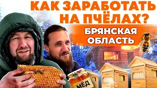 Пчеловодство в Брянской области | Пчелы, мёд и прибыль | Андрей Даниленко