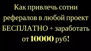 Как привлечь сотни рефералов в любой проект БЕСПЛАТНО + заработать от 10000 руб