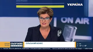 Новини – повний випуск Сьогодні від 30 листопада 15:00