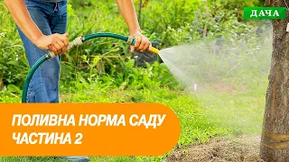 Ідеальна Вода для поливу Саду. Як часто поливати рослини? Частина 2