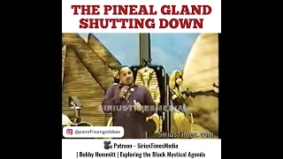 The Pineal Gland Shutting Down - Bobby Hemmitt