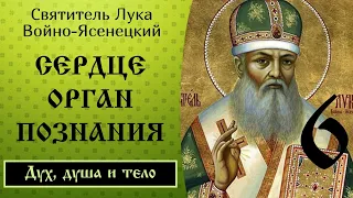 6/24 Сердце, как орган высшего познания. Ч.5 ☦️ Лука Войно-Ясенецкий