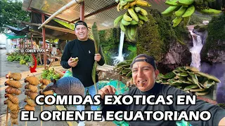 UNA RUTA DE CASCADAS Y ALIMENTOS EXOTICOS, ORIENTE🇪🇨I GEO LEMA