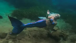 Mermaid Melissa The Color Shifting Siren Swimming