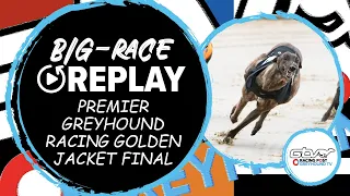 2023 Golden Jacket Final - Bellmore Sally | Greyhound Race Previews Reviews & Tips | 2023 Big Finals