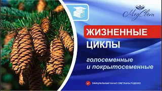 Подготовка к ЕГЭ по ботанике. Голосеменные и покрытосеменные. Жизненные циклы.