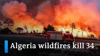 North Africa's sweeping heat wave and wildfires kill 34 in Algeria | DW News