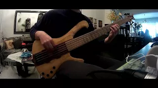 Pain of Salvation - Nightmist(bass  cover)