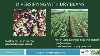 Diversifying with Dry Beans