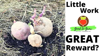 How We Plant Potatoes Using the Ruth Stout Method | Deep Mulch Gardening | Guten Yardening