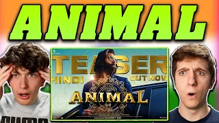 Americans React to ANIMAL Official Teaser!