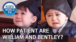 How patient are William and Bentley? [The Return of Superman/2020.03.29]