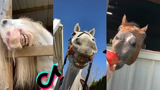 THE FUNNIEST HORSE TikTok Compilation 2022 #49