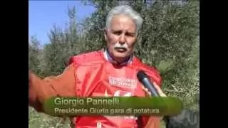 Intervista a Giorgio Pannelli - Presidente Giuria gara di potatura