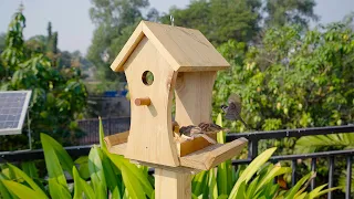 Make simple diy wooden bird feeder