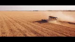 Staib Farms Wheat Harvest