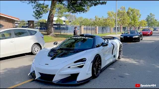 "That's A Novitec N-Largo 720S" Craziest Bodykit 1 of 15