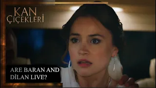 ARE BARAN AND DİLAN LIVE?