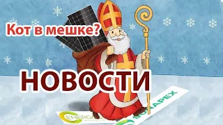 Что получили владельцы дСЭС в этом году?