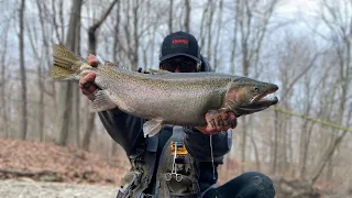 Flyfishing For Steelhead (Erie,pa) (2023)