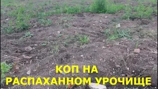 Коп на распаханном урочище. Более 30 монет.