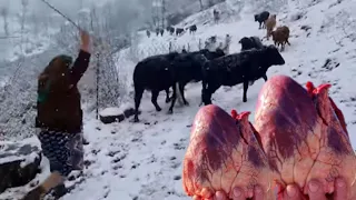We Cooked Heart Kebab In The Snowy Mountains