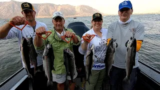 Columbia River Sockeye Salmon