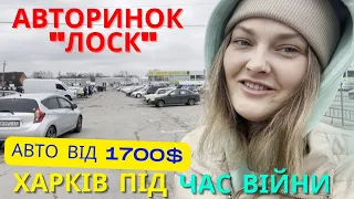 💥Авторынок Харьков "Лоск" март 2023