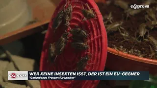 Kampagne läuft: Wer keine Insekten essen will, der ist jetzt ein EU-Gegner