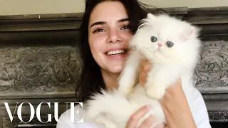 Kendall Jenner Plays with The World's Cutest Kitten | Vogue