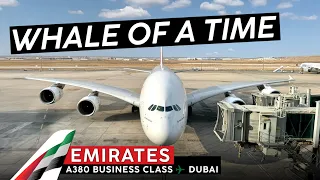 EMIRATES in BUSINESS on the A380  🇯🇴 Amman ✈ Dubai 🇦🇪 EMIRATES' Favorite Aircraft