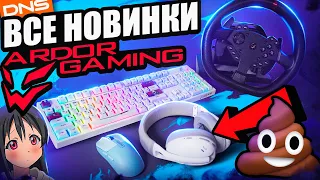 Все Новинки ARDOR GAMING с DNS и Что Такое OEM ? Бюджетный набор геймера Клавиатура, мышка, наушники