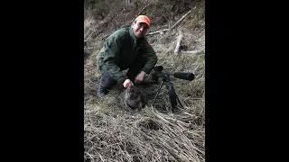 Beverjakt Norge / Beaver Hunt Norway 2021