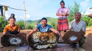 The Process of Extracting Giant Bee Pupae to Bring to the Market for Sale | Family Farm