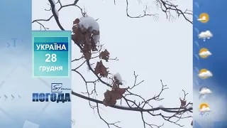 Погода на 28 грудня 2021