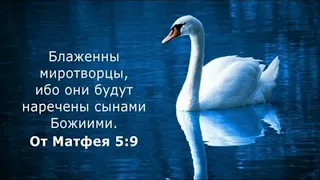 🙏🪗«БЛАЖЕННЫ МИРОТВОРЦЫ.»   (ПРЕМЬЕРА ПЕСНИ 2023.)