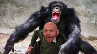 Bill Burr - Chimpanzee Attack