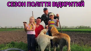 ЧОЛОВІК ЛЯСИ ТОЧИТЬ,А ДРУЖИНА ПОЛЕ ОГОРОД😆‼️РЕКОРДНИЙ ВРОЖАЙ КАМЕНЮ🤯‼️КУЛЬТИВАЦІЯ ПОЧАЛАСЬ❗️❗️❗️