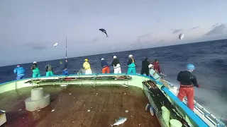 Ketika hari mulai gelap 😲 Saat yang di nantikan para pemancing ‼️